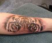 tattoo_motive fauna_03