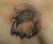 tattoo_motive fauna_15